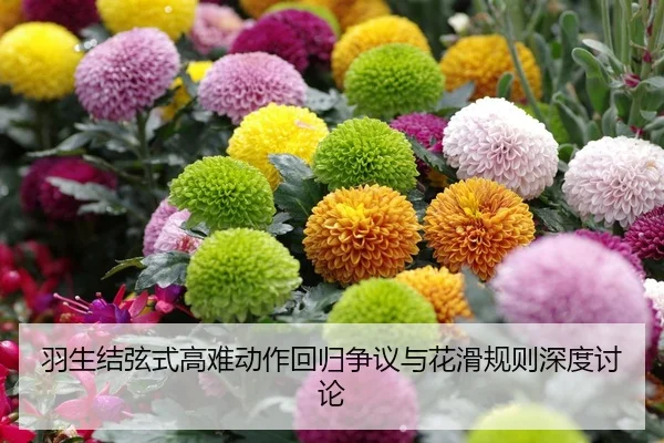 羽生结弦式高难动作回归争议与花滑规则深度讨论